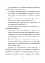 Referāts 'Būvmašīnu izvēles pamatkritēriji', 19.