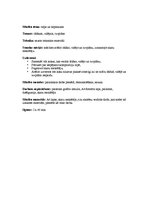 Konspekts 'Telpa un telpiskums', 1.