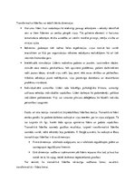 Referāts 'Transaktīvā un transformatīvā līderība', 3.