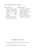 Referāts 'Transaktīvā un transformatīvā līderība', 5.