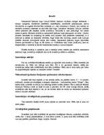 Biznesa plāns 'Investīciju un mārketinga plāns bāram “Šveiks”', 2.