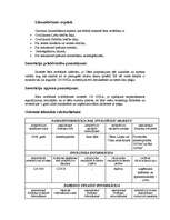 Biznesa plāns 'Investīciju un mārketinga plāns bāram “Šveiks”', 3.