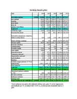 Biznesa plāns 'Investīciju un mārketinga plāns bāram “Šveiks”', 8.