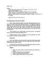 Biznesa plāns 'Investīciju un mārketinga plāns bāram “Šveiks”', 11.