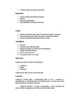 Biznesa plāns 'Investīciju un mārketinga plāns bāram “Šveiks”', 12.