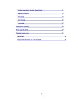 Referāts 'Uzņēmējdarbības finansēšana un kreditēšana', 3.