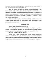 Referāts 'Uzņēmējdarbības finansēšana un kreditēšana', 8.