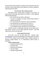 Referāts 'Uzņēmējdarbības finansēšana un kreditēšana', 17.