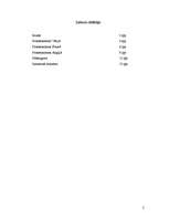 Referāts 'Protestantisma formu salīdzinājums dažādās Eiropas valstīs 16.gadsimtā', 2.