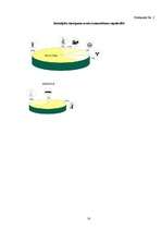 Referāts 'Radioaktīvais piesārņojums Latvijā', 18.