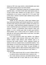 Referāts 'Eiropas ekonomisko interešu grupa', 4.