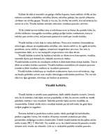 Referāts 'Vizuālā kultūra', 9.