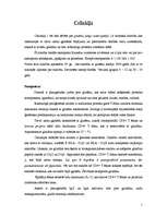 Konspekts 'Celiakija', 1.