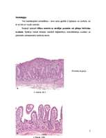 Konspekts 'Celiakija', 2.