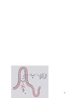 Konspekts 'Celiakija', 6.