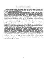 Referāts 'Vilhelms Purvītis', 13.