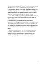 Referāts 'Mazākuma tiesību politiskā pārstāvniecība: stāvoklis, nepilnības un problēmas šo', 9.