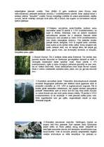 Konspekts 'Pasaules tūrisma objekti', 3.