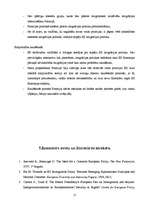 Referāts 'Eiropas Savienības imigrācijas politika no liberālās starpvaldību teorijas persp', 17.