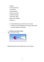 Prakses atskaite 'Sociālpedagoģiskā prakse bērnu namā "Ilga"', 8.