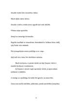 Prakses atskaite 'Sociālpedagoģiskā prakse bērnu namā "Ilga"', 12.