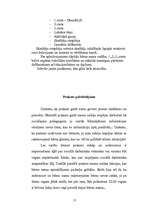Prakses atskaite 'Sociālpedagoģiskā prakse bērnu namā "Ilga"', 17.