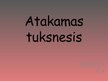 Prezentācija 'Atakamas tuksnesis', 1.