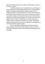 Referāts 'Drošība un policija', 10.