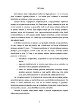 Referāts 'Bagāžas reģistrācijas procedūra', 3.