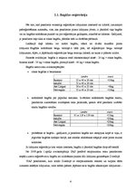 Referāts 'Bagāžas reģistrācijas procedūra', 6.