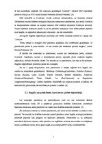 Referāts 'Bagāžas reģistrācijas procedūra', 7.