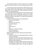 Referāts 'Bagāžas reģistrācijas procedūra', 8.