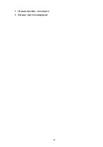 Referāts 'Bagāžas reģistrācijas procedūra', 12.