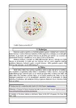 Referāts 'Pareiza uztura nozīme cilvēka organismam', 11.