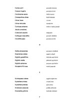 Konspekts 'Ārstniecības augu saraksts', 2.