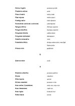 Konspekts 'Ārstniecības augu saraksts', 5.