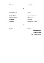 Konspekts 'Ārstniecības augu saraksts', 7.