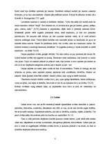 Referāts 'Garīgums kā mijiedarbības līdzeklis', 8.