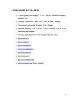 Referāts 'Asfaltbetona ieklājējs', 8.