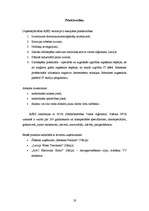 Referāts 'Brīvās ekonomiskās zonas Latvijā', 19.