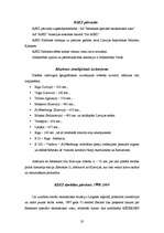 Referāts 'Brīvās ekonomiskās zonas Latvijā', 20.