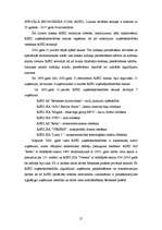 Referāts 'Brīvās ekonomiskās zonas Latvijā', 21.