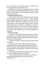 Referāts 'Brīvās ekonomiskās zonas Latvijā', 28.