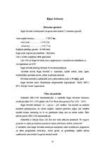 Referāts 'Brīvās ekonomiskās zonas Latvijā', 42.