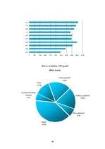 Referāts 'Brīvās ekonomiskās zonas Latvijā', 44.