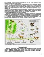Konspekts 'Ekoloģija', 2.