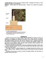 Konspekts 'Ekoloģija', 3.