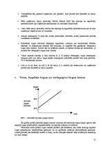 Konspekts 'Investīcijas', 28.
