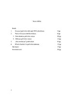 Referāts 'Politika', 2.