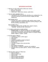 Paraugs 'Portfolio vizuālajā mākslā', 6.